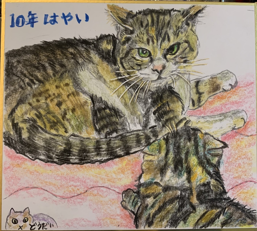 わっ！とびくりねこのえ　1027