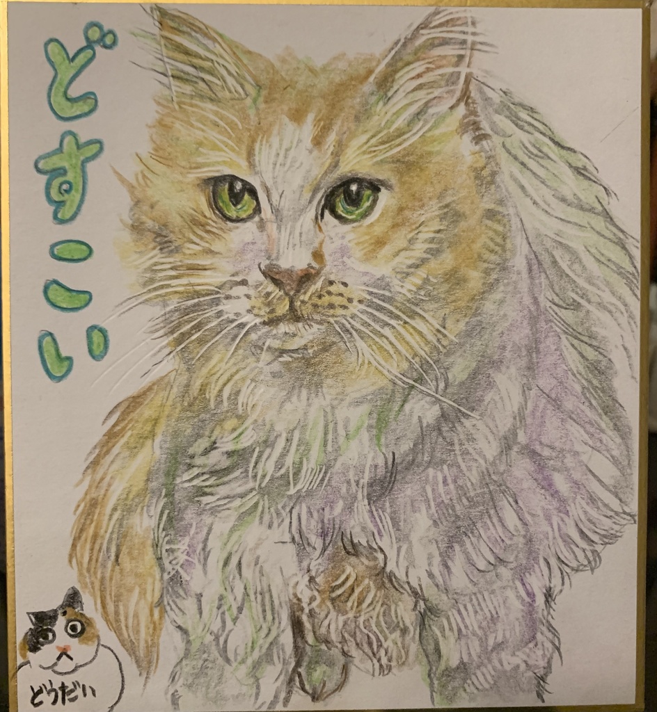 はっけよいねこのえ　1027