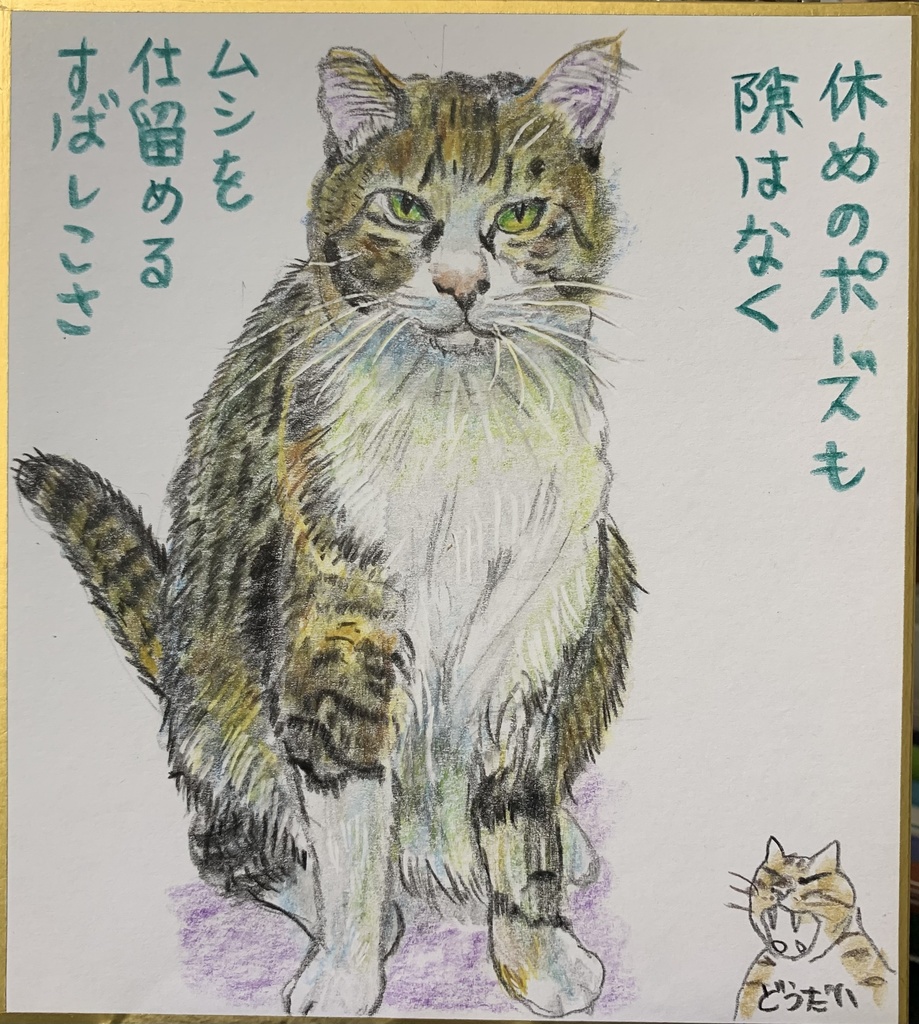 あたちはちぇいさーねこのえ　1030