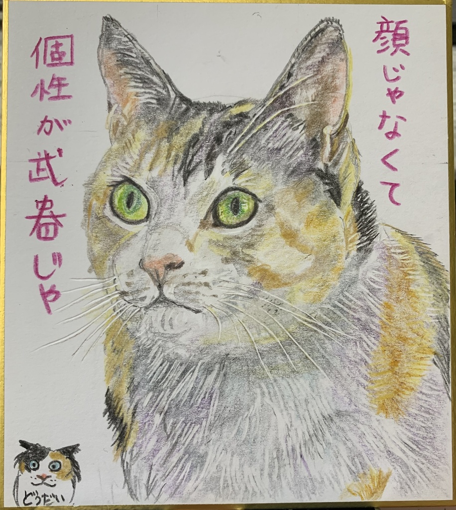 かおじゃないねこのえ　1036