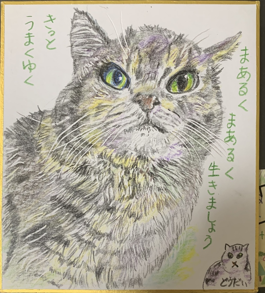 まあるいまあるいねこのえ　1038