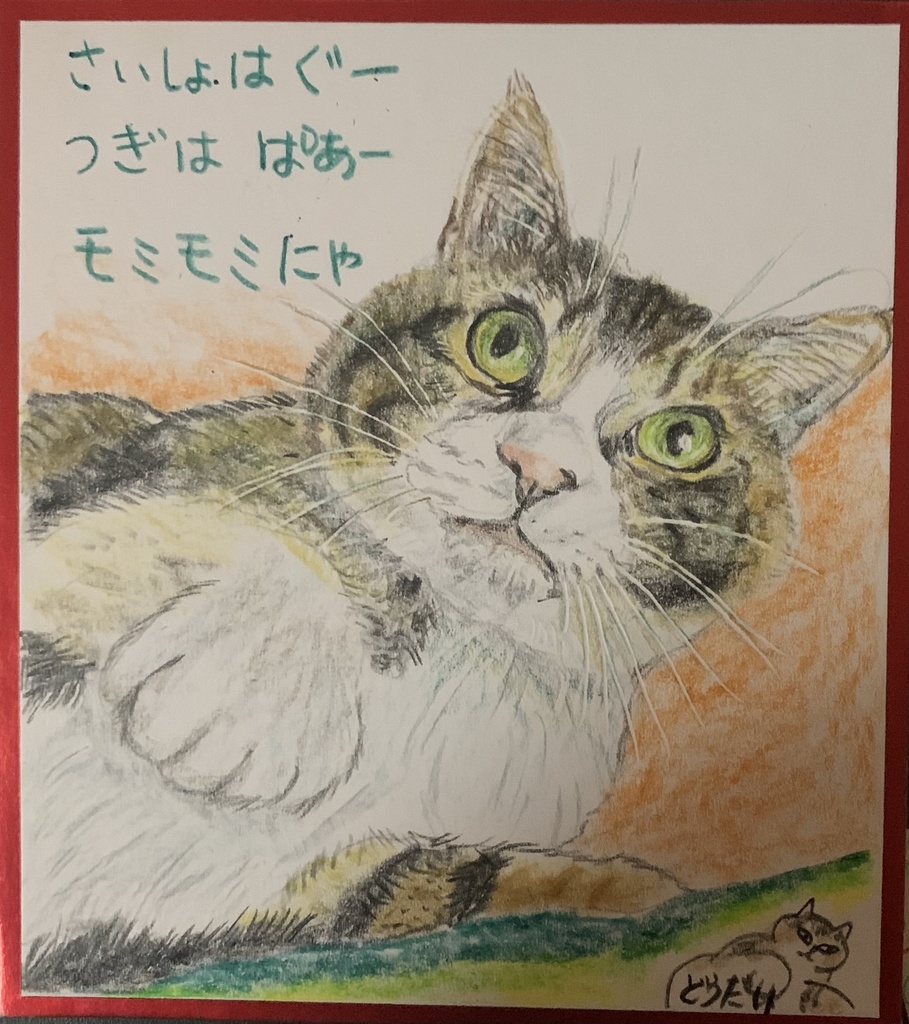 もみもみねこのえ　1046
