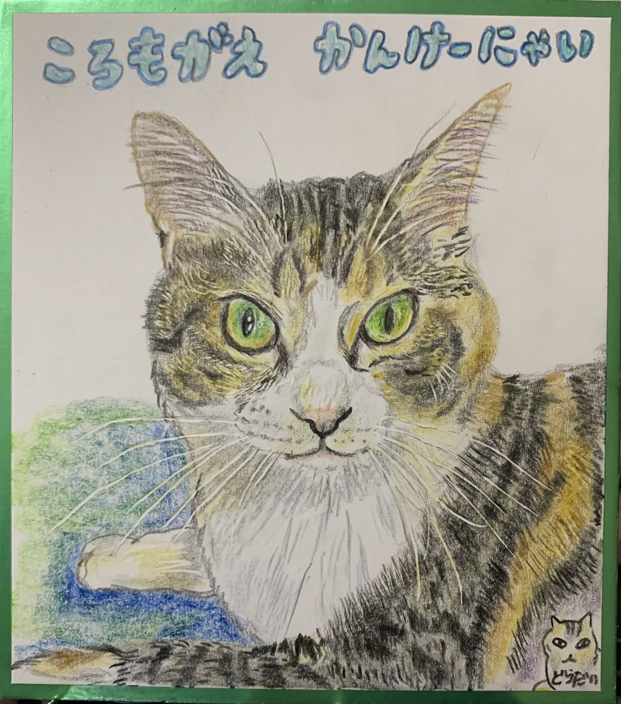 ころもがえなーいねこのえ　1063
