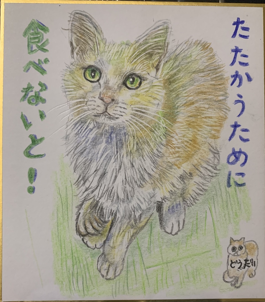 たたかうねこのえ　1064