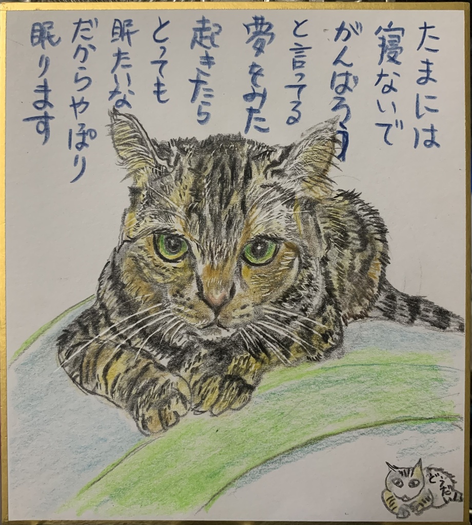 ゆめはゆめなのねこのえ　1069
