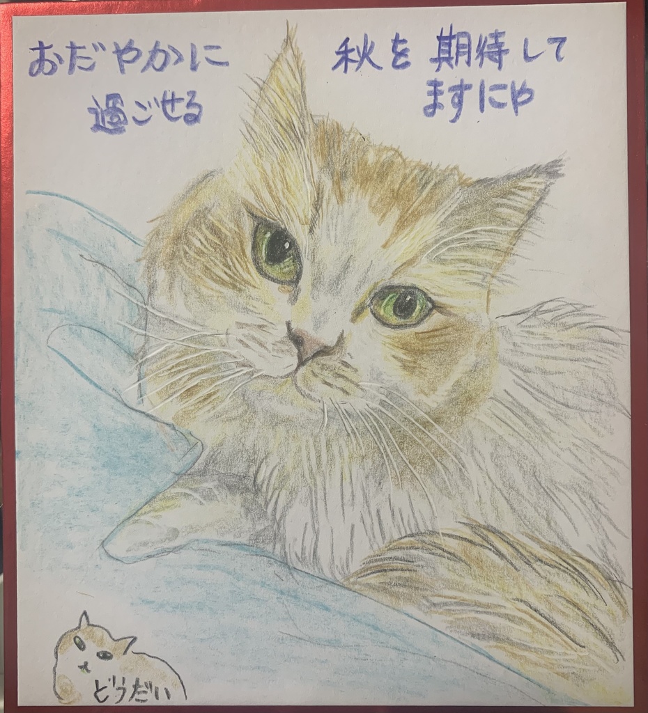 あたりまえねこのえ　1072