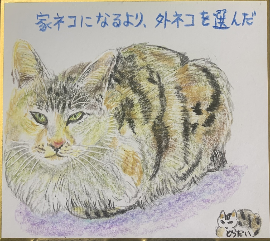 そとねこのえ　1073