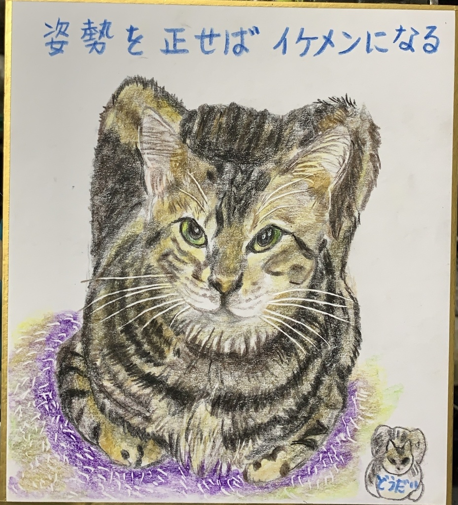 いけめんねこのえ　1074