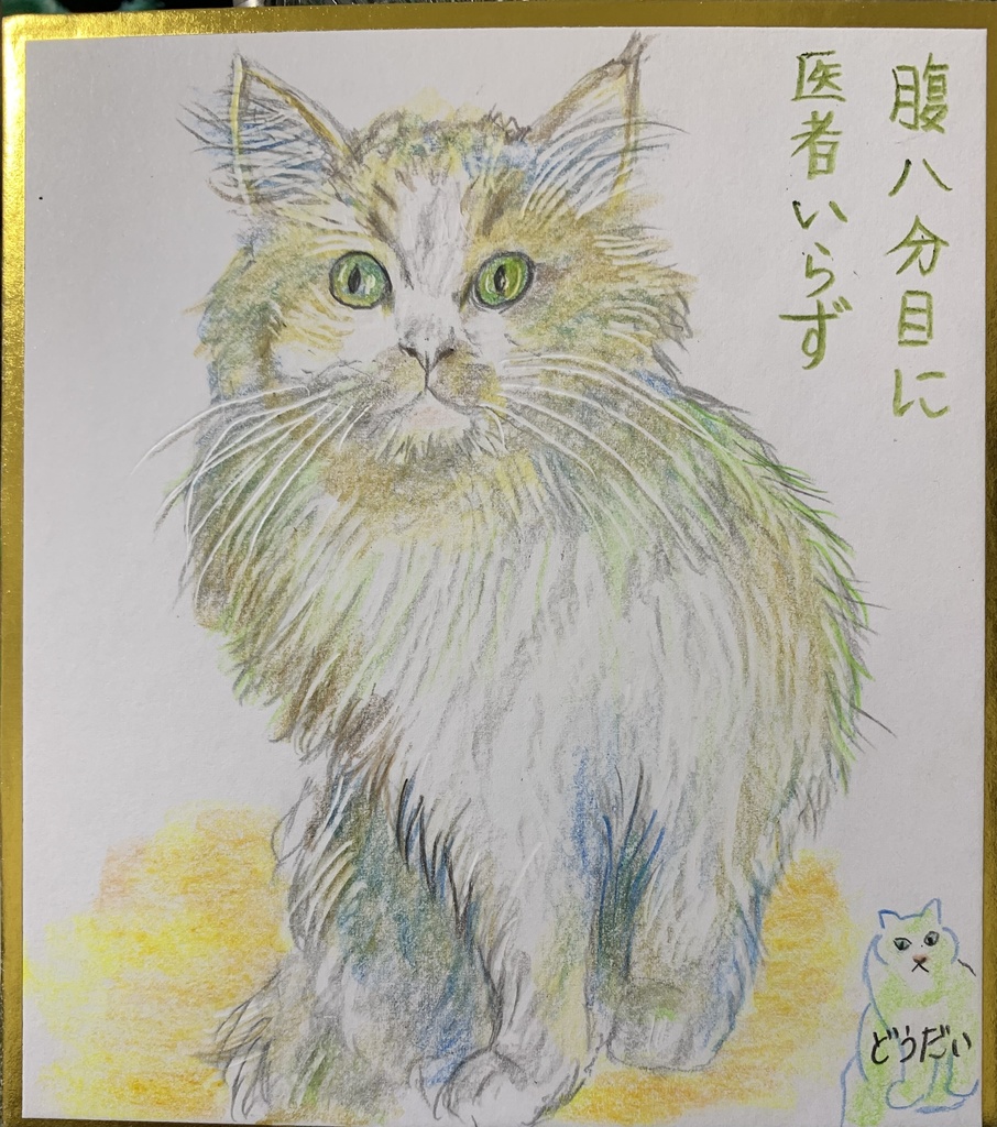 しんぱいねこのえ　1075