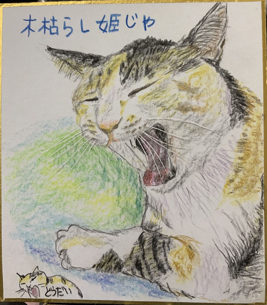 ひめねこのえ　1078