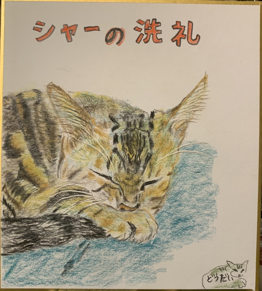 かりてきたねこのえ　1100