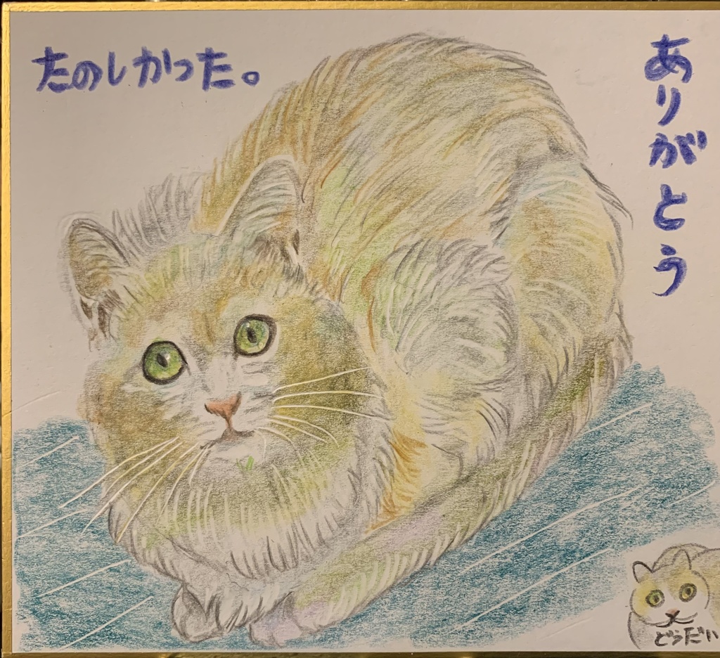 かんしゃねこのえ　1104