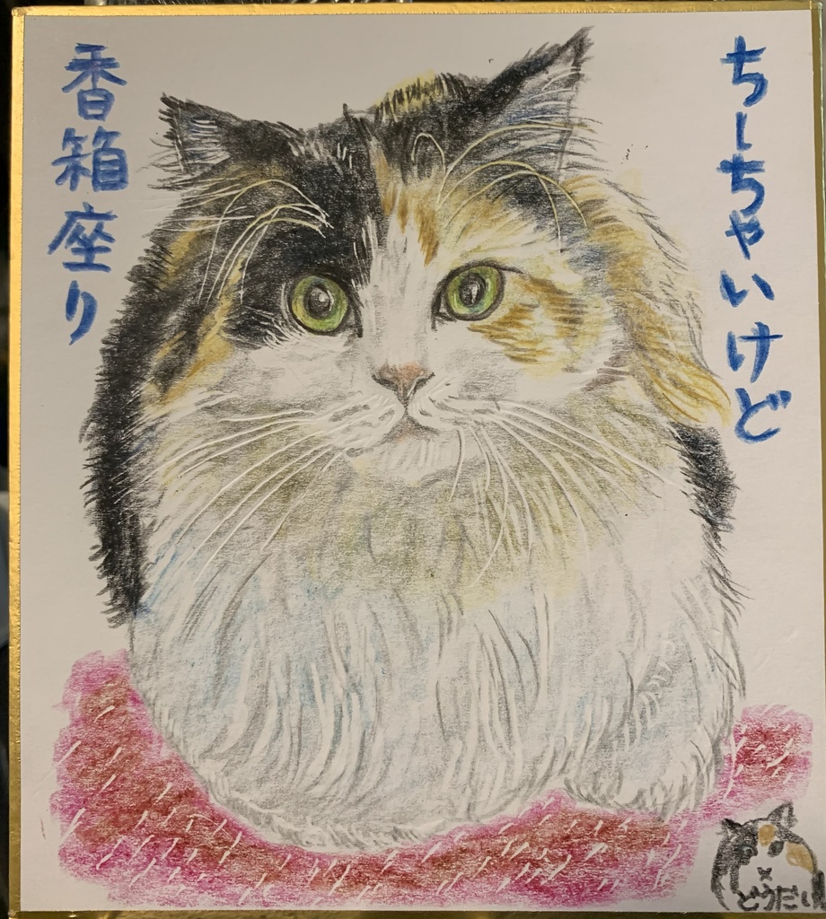 ちーちゃこうばこずわりねこのえ1105