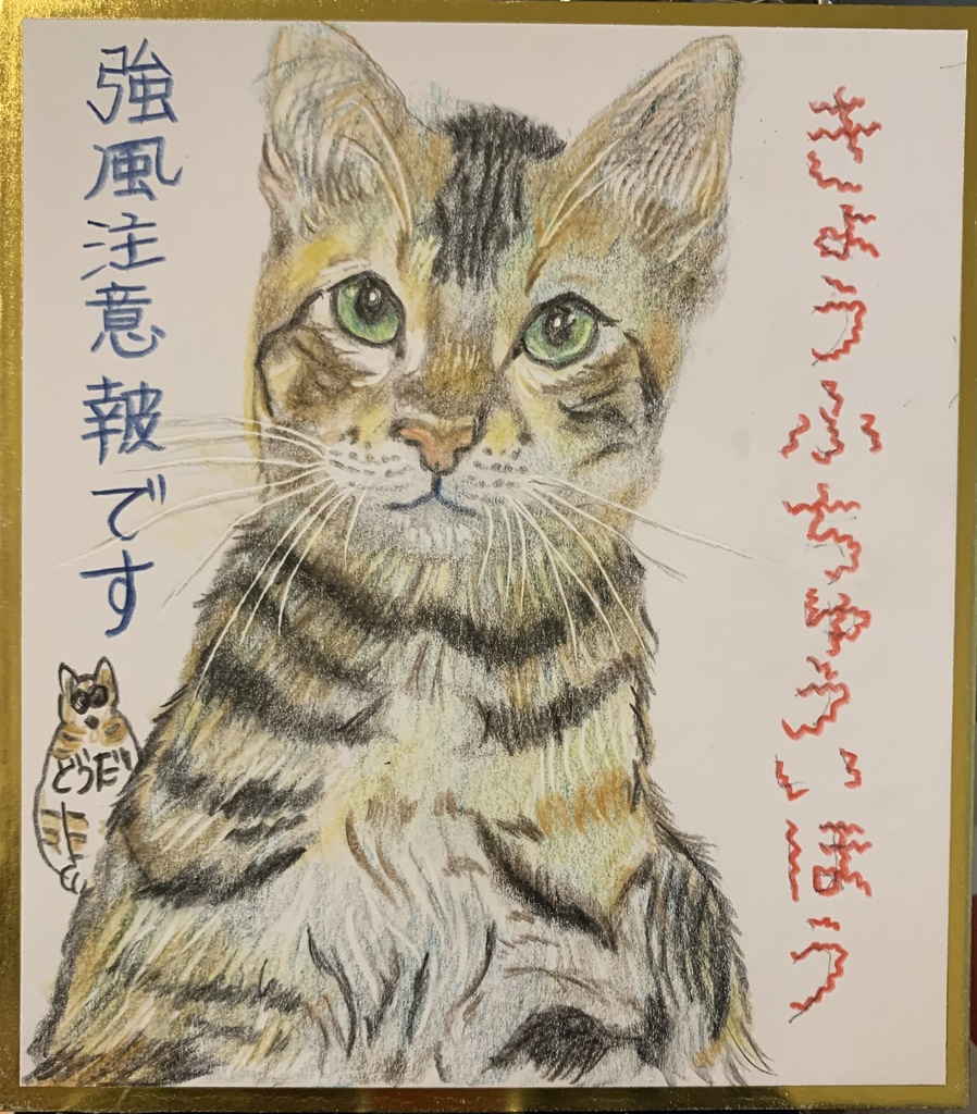 きょうふうねこのえ　1106