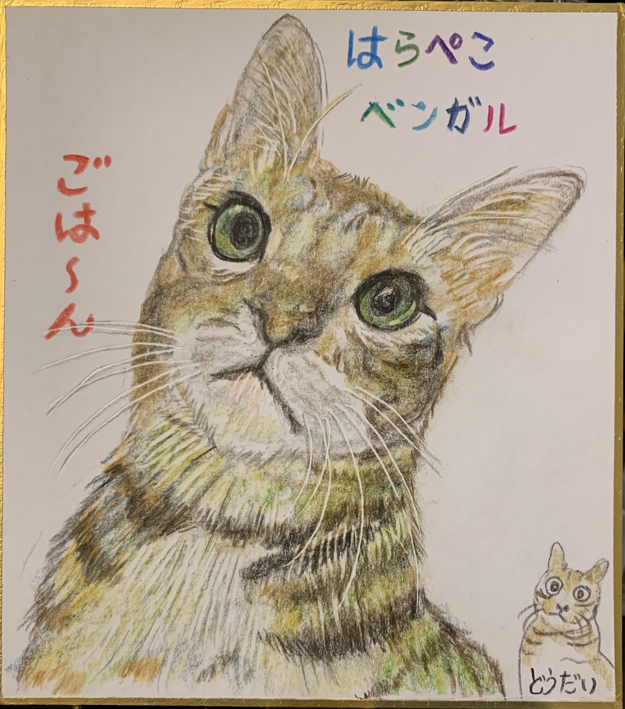 そこなしねこのえ　1110