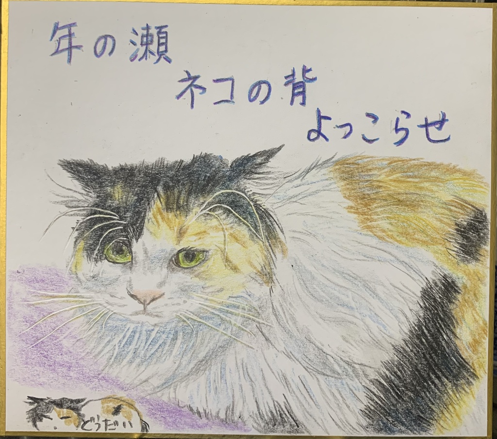 としのせねこのえ　1114