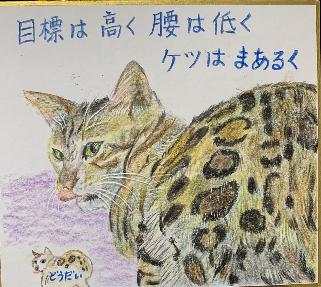 たかくひくくまるいねこのえ　1118