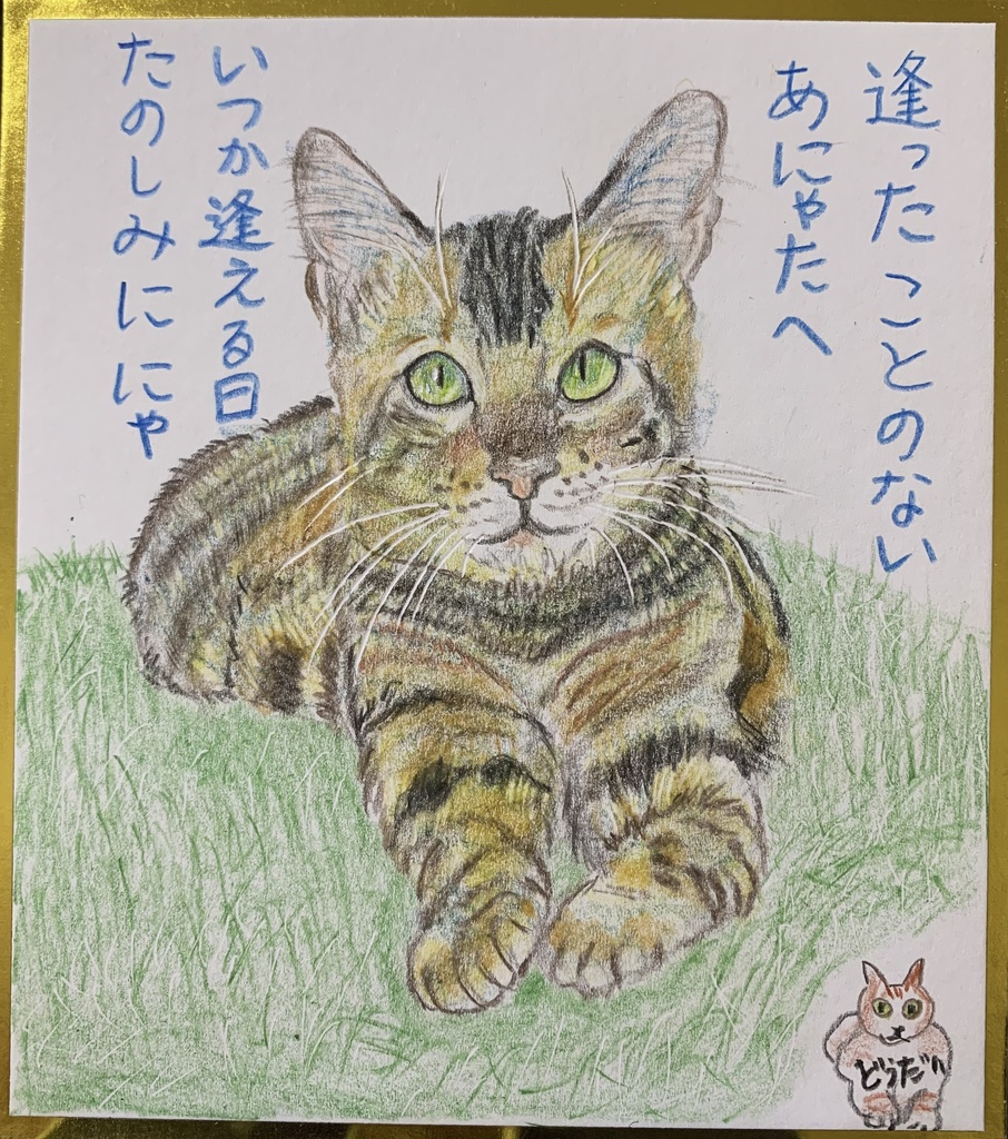 いつかあおうねこのえ　1128