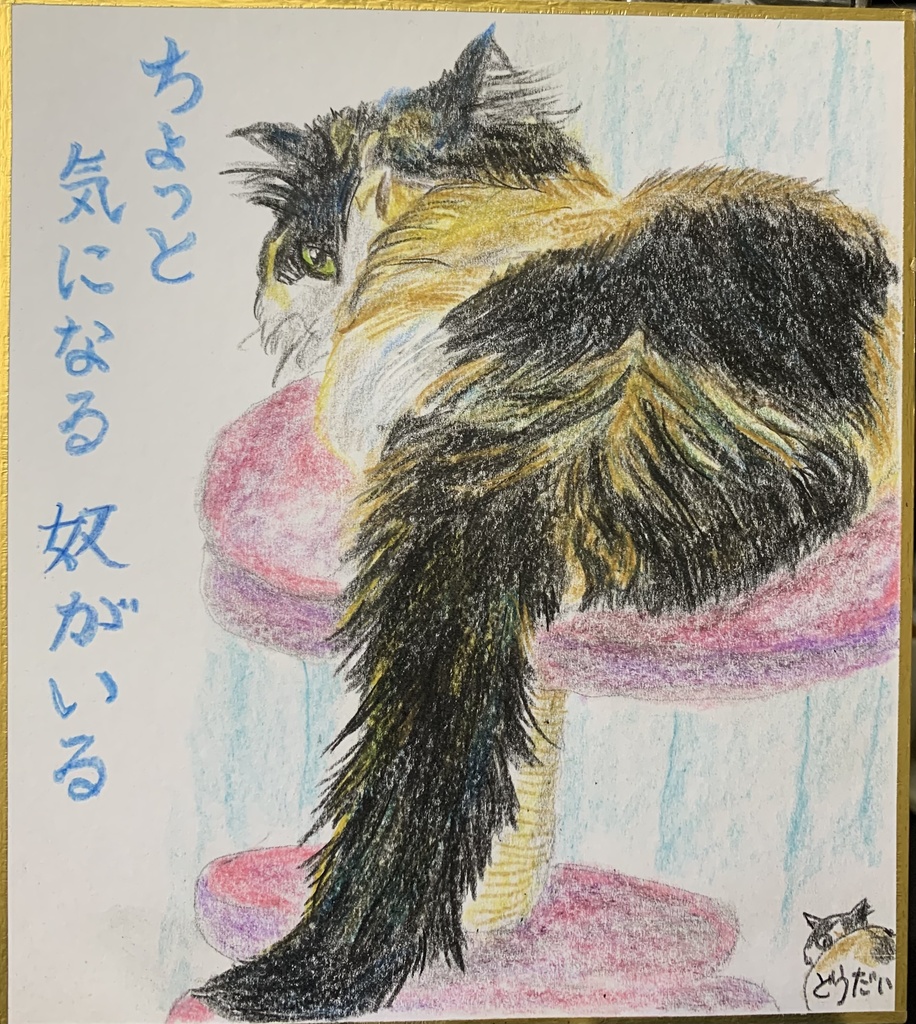 ちらみするねこのえ　1137