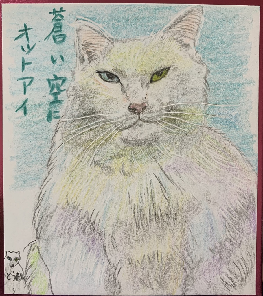 きんめぎんめねこのえ　1141