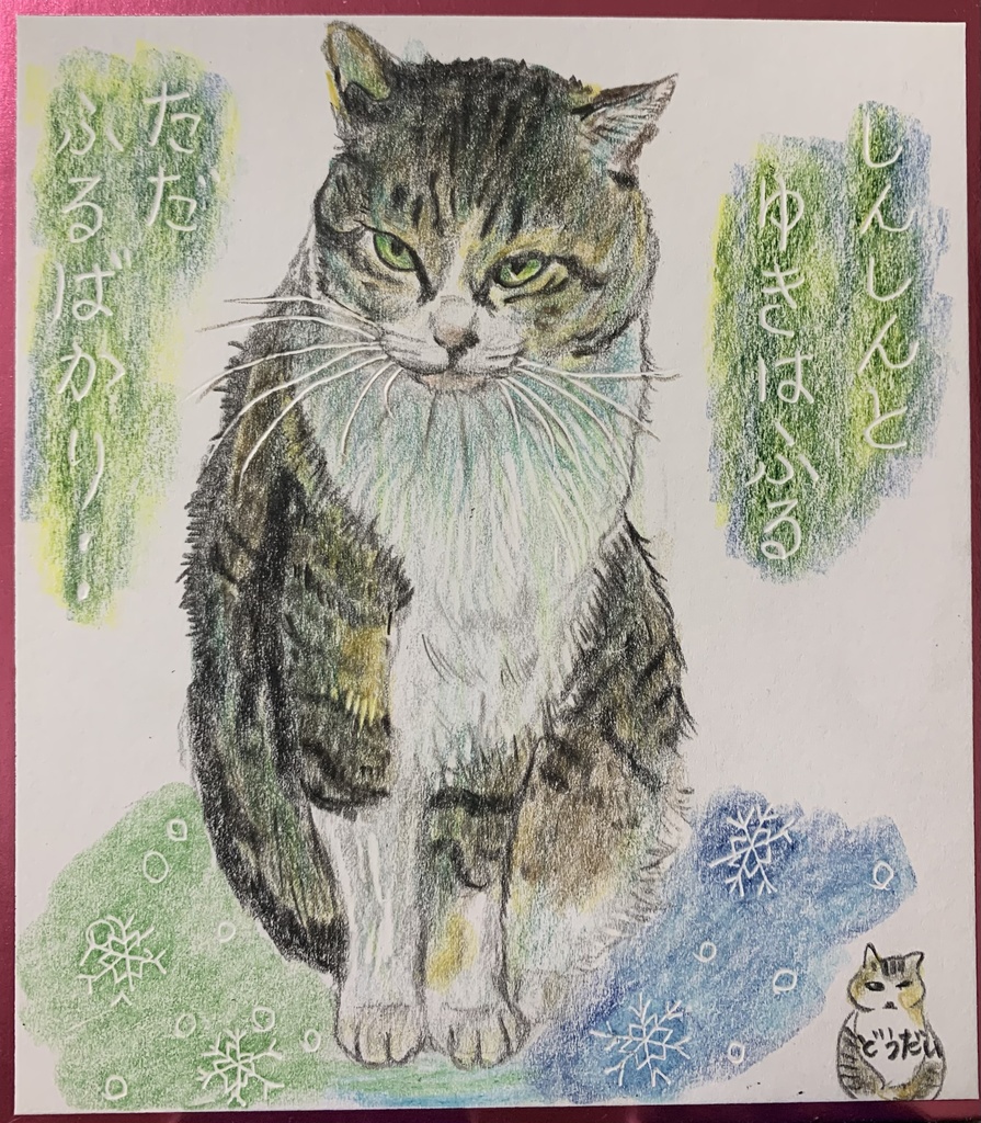 ゆきねこのえ　1146