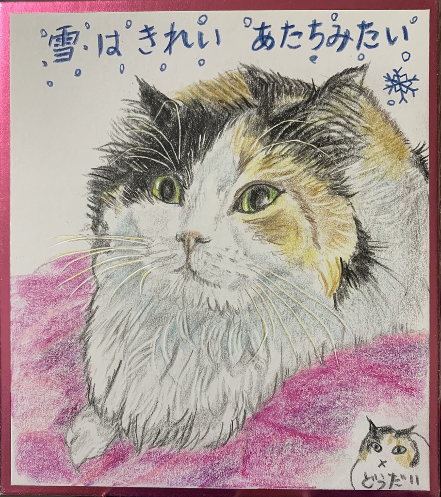 はじめてのゆきねこのえ　1147