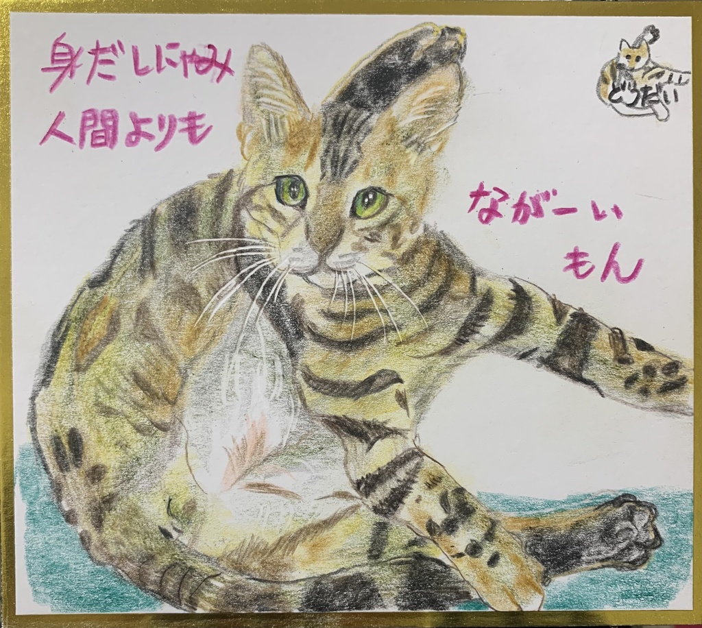 おしゃれねこのえ　1149