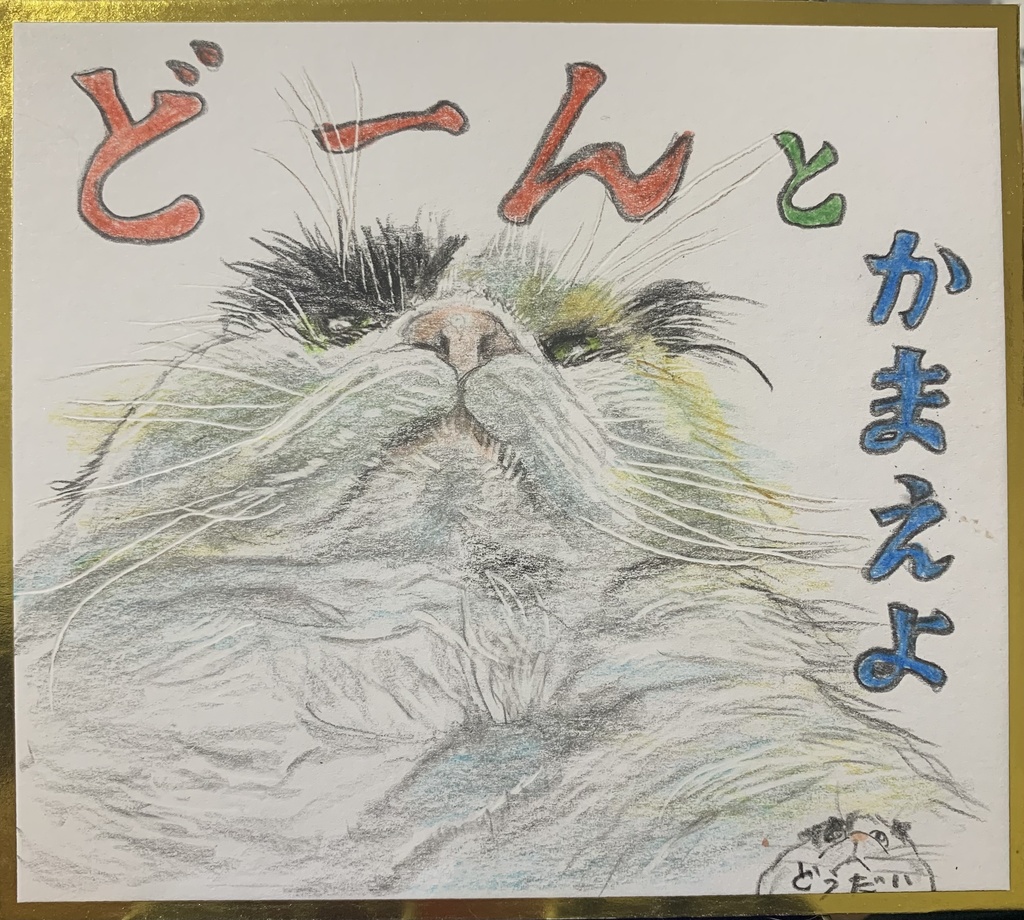 どーんねこのえ　1149