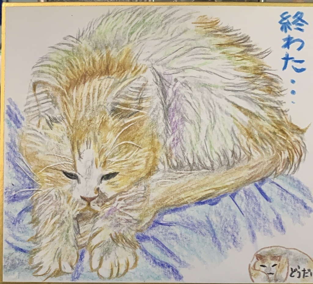 つまらんねこのえ　1154