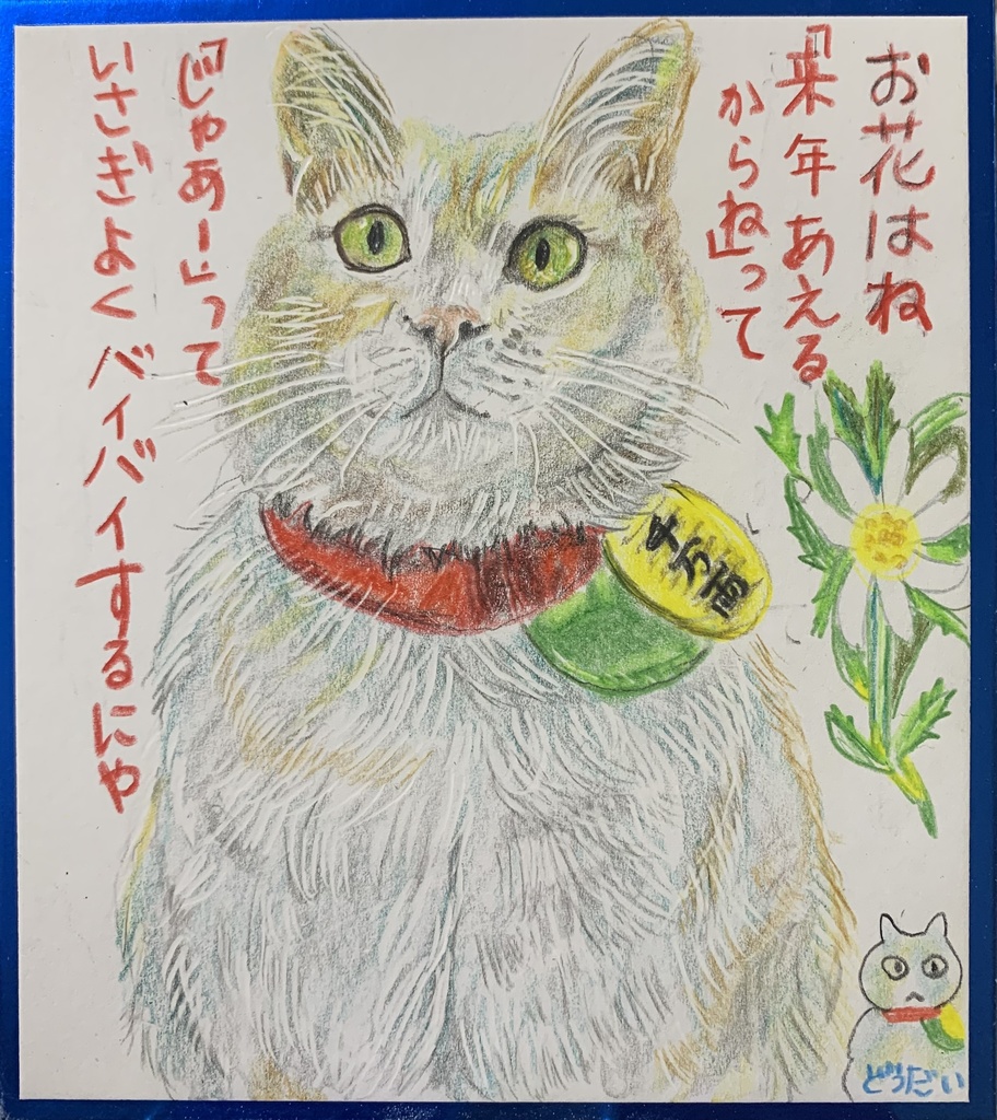 いさぎよいな、ねこのえ　1156