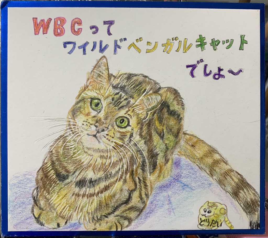 WBCねこのえ　1157