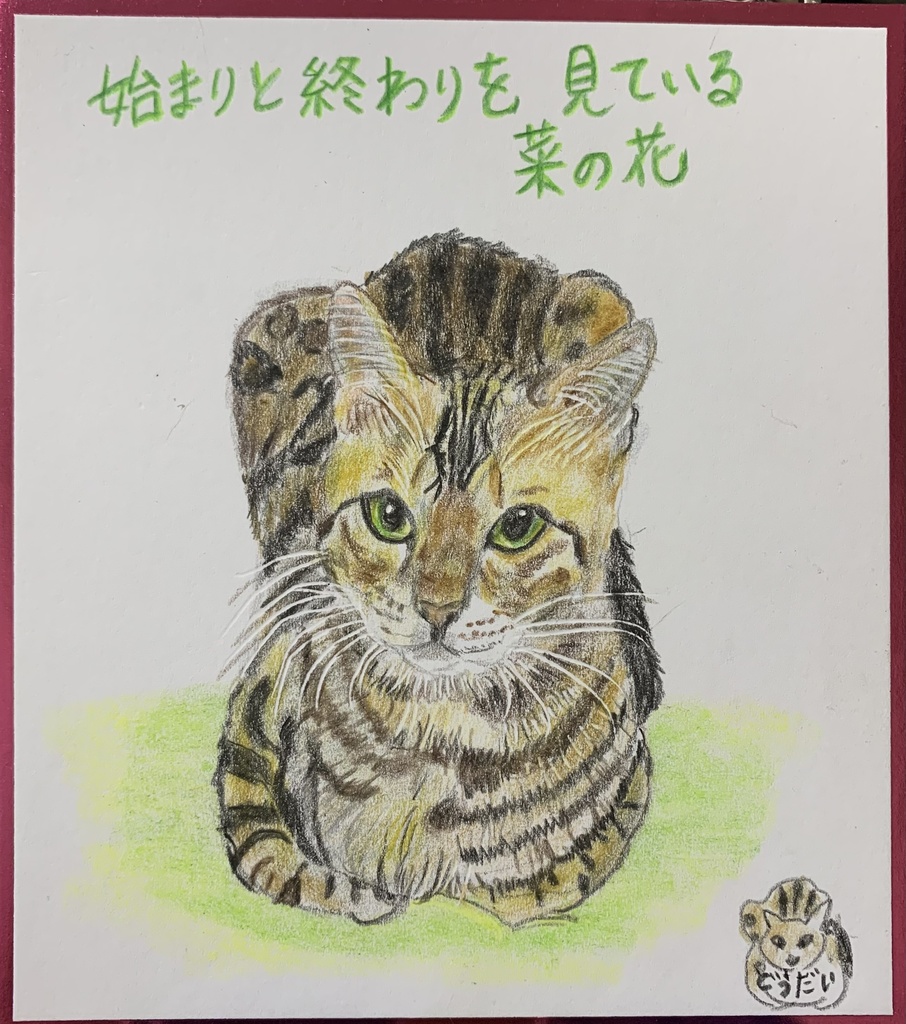 きせつがわりねこのえ　1159