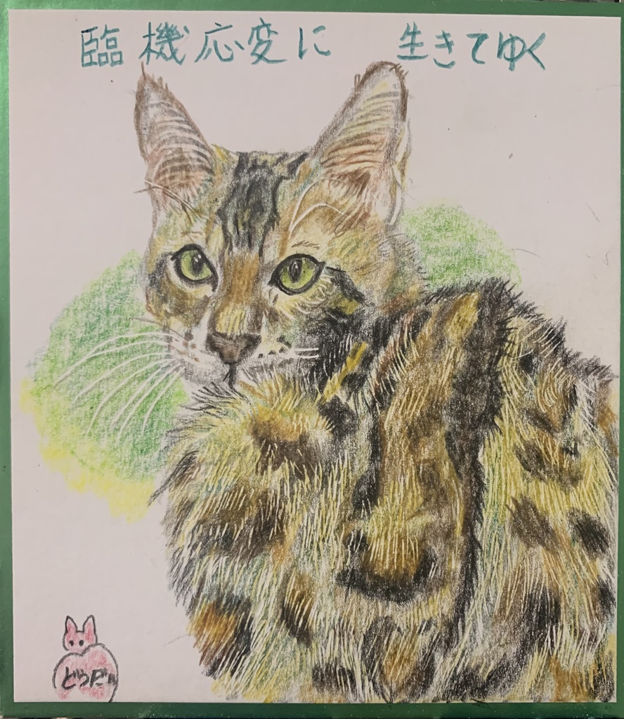 ねことしていきるねこ　1160