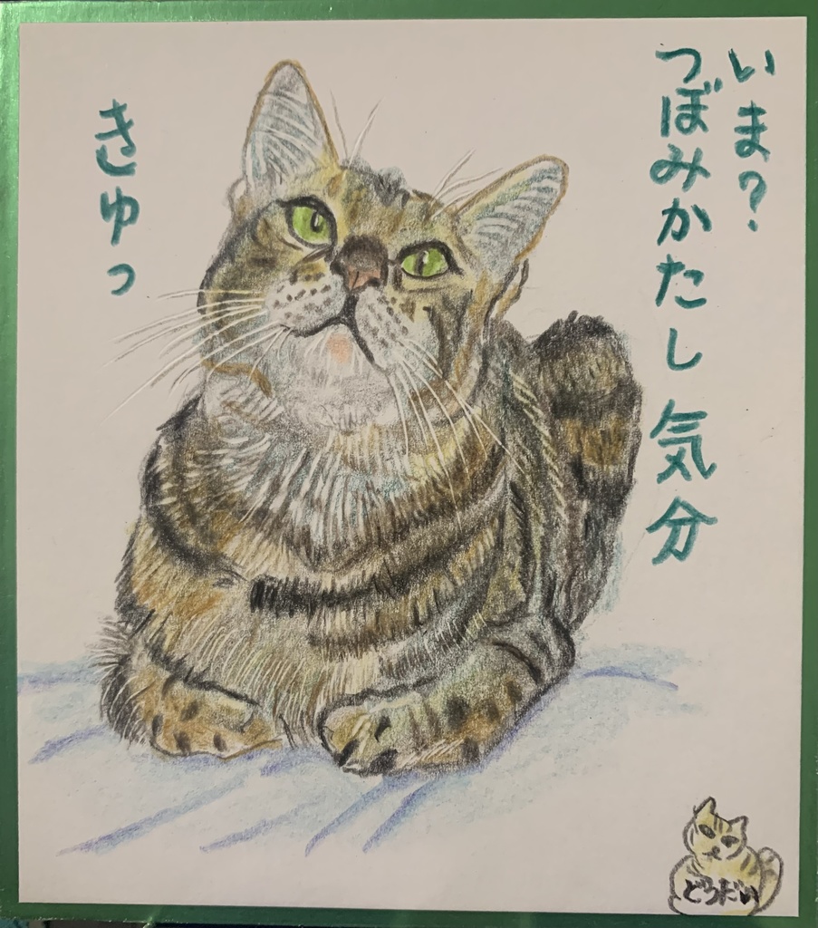 まだかたいねこのえ　1162