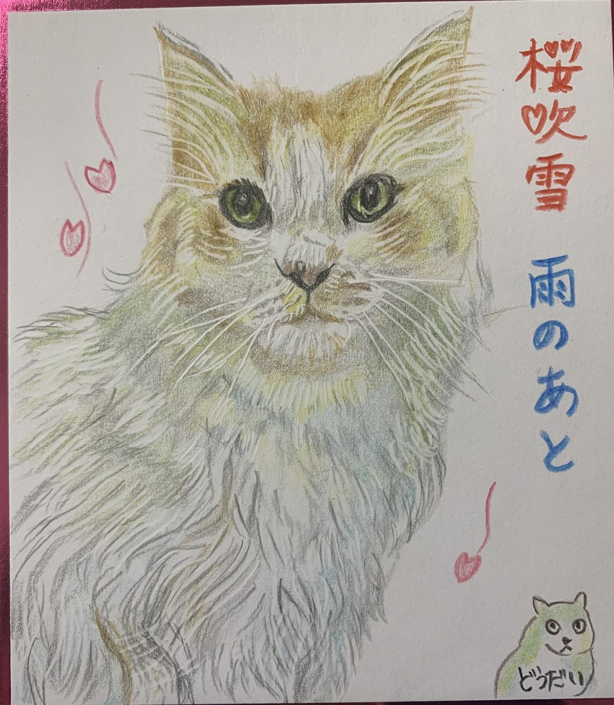 さくらふぶきねこのえ　1166