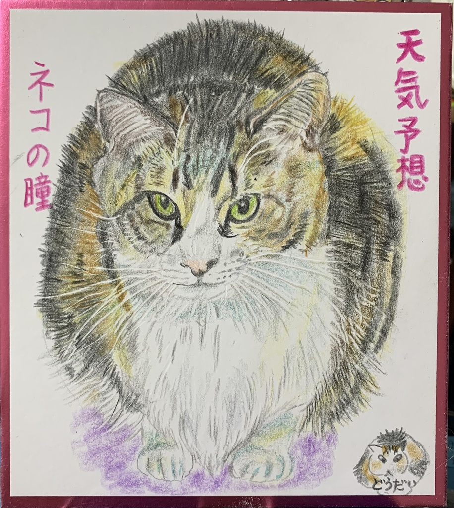 くるくるかわるねこのめ、ねこのえ