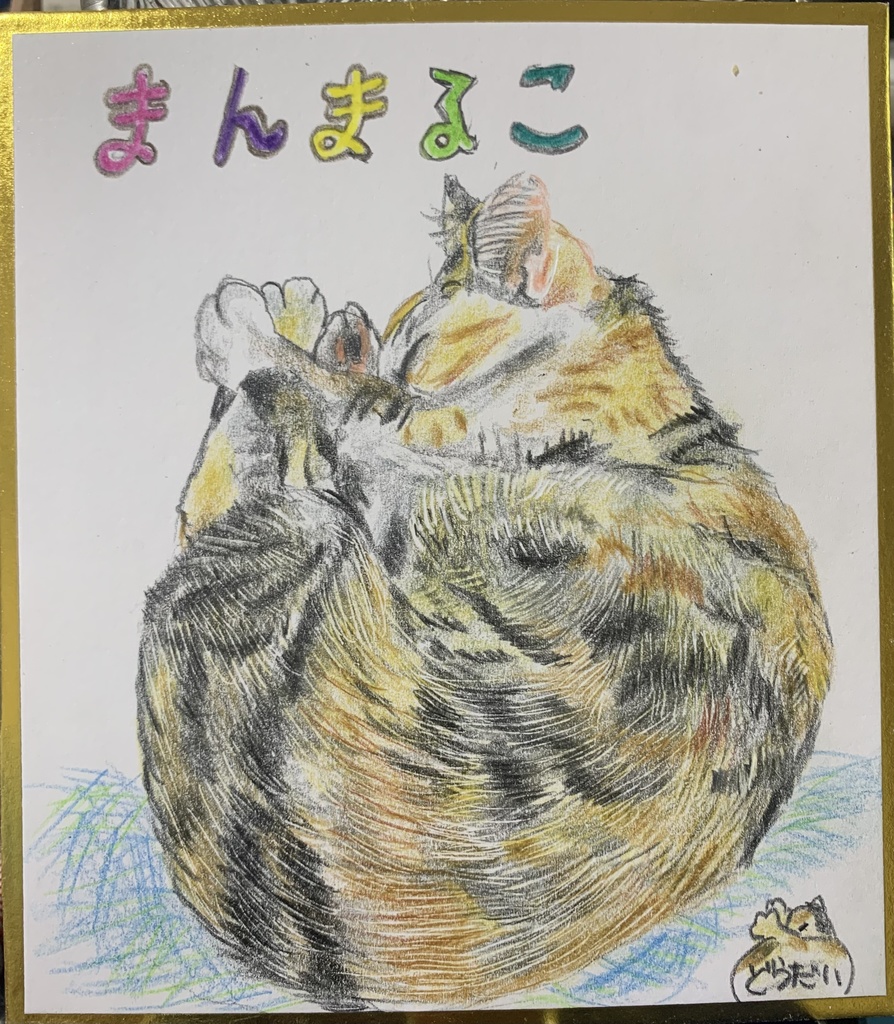 にゃんもにゃいとねこのえ　1170