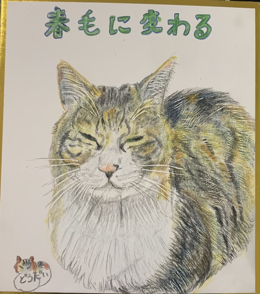 ふゆからはるへねこのえ　1171