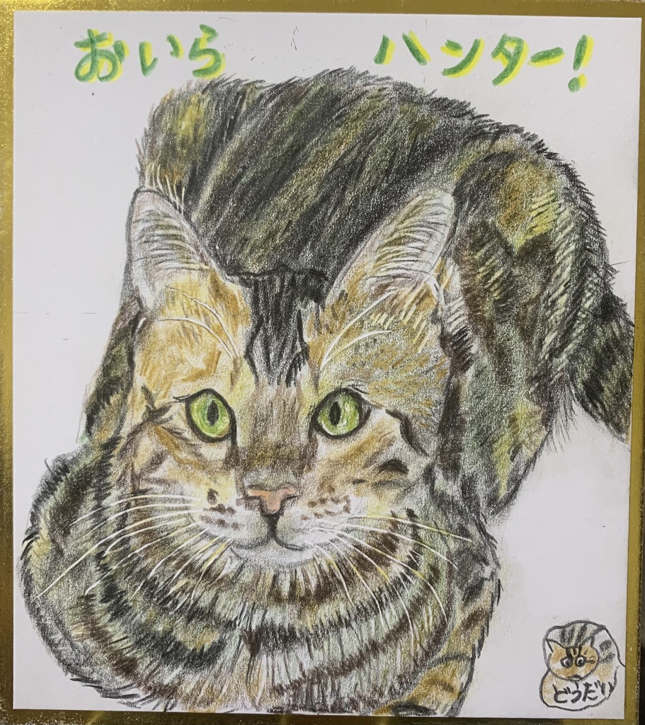 べんがるはやせいだねこのえ　1173