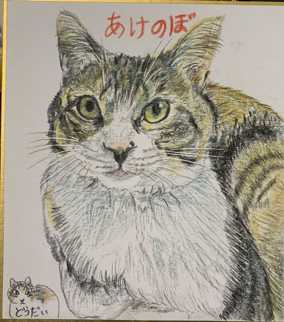 こうさねこのえ　1174