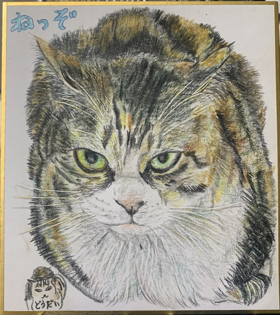 じゅんびできてるねこのえ　1180