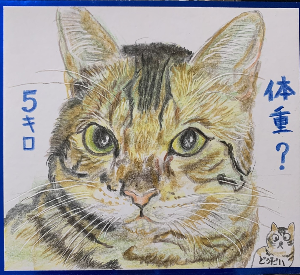 サバはよまないねこのえ　1182