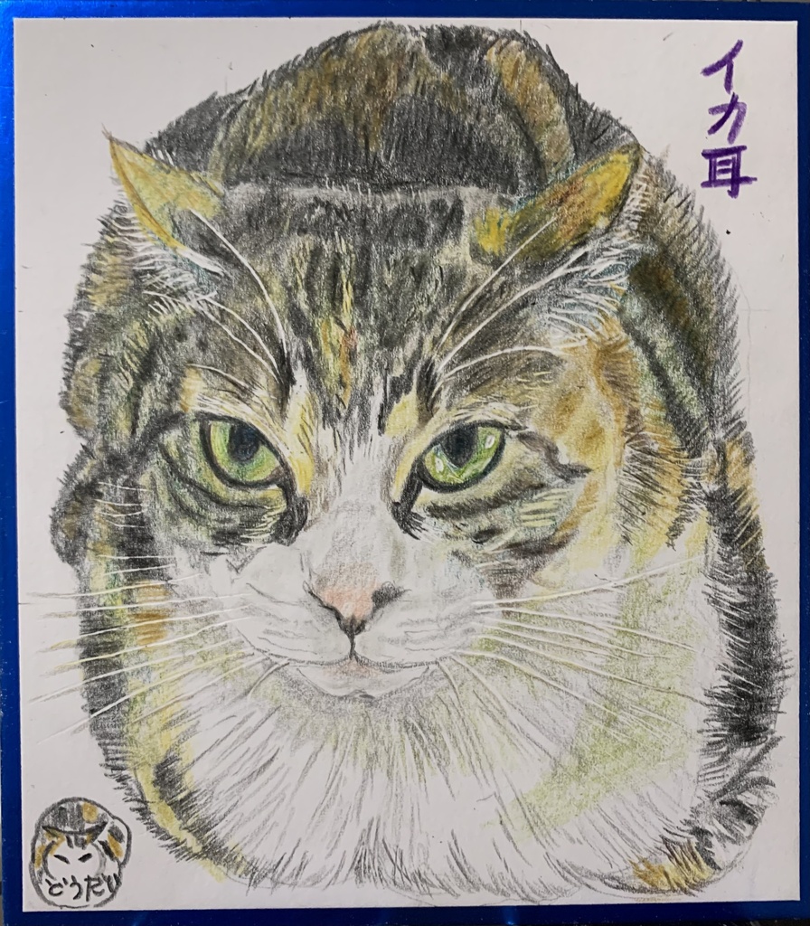 いかみみねこのえ　1188