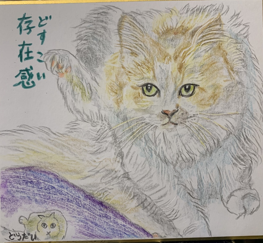 どすこいねこのえ　1189