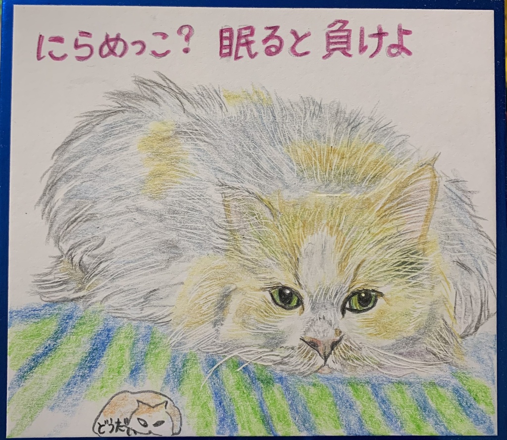 ねむるとまけるねこのえ　1193