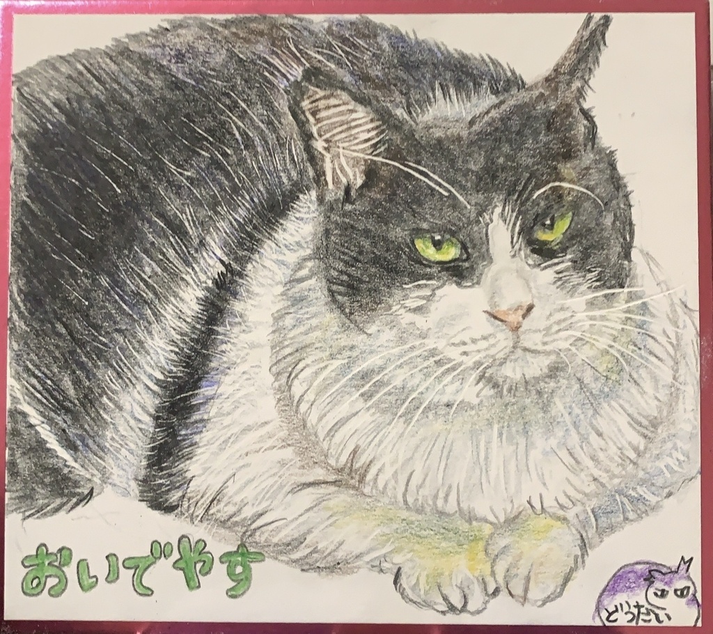 きょうとのねこのえ　1201