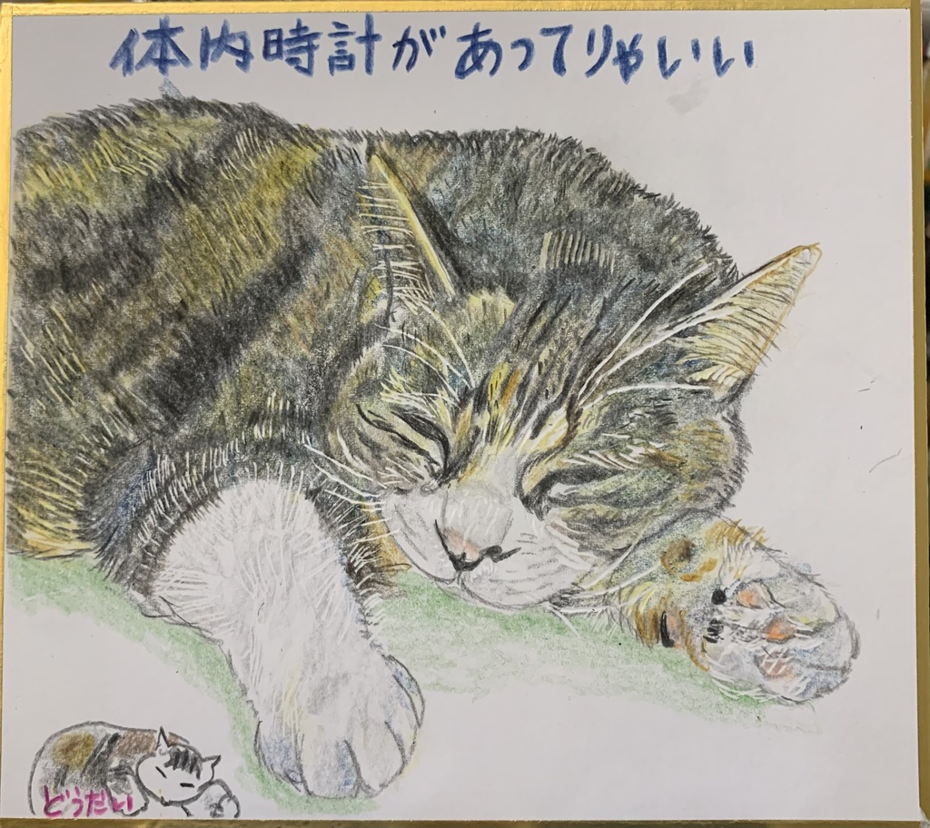 とけいいらんねこのえ　1204