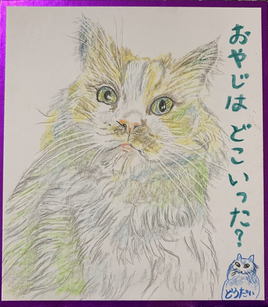 かみなりかたまるねこのえ　1209
