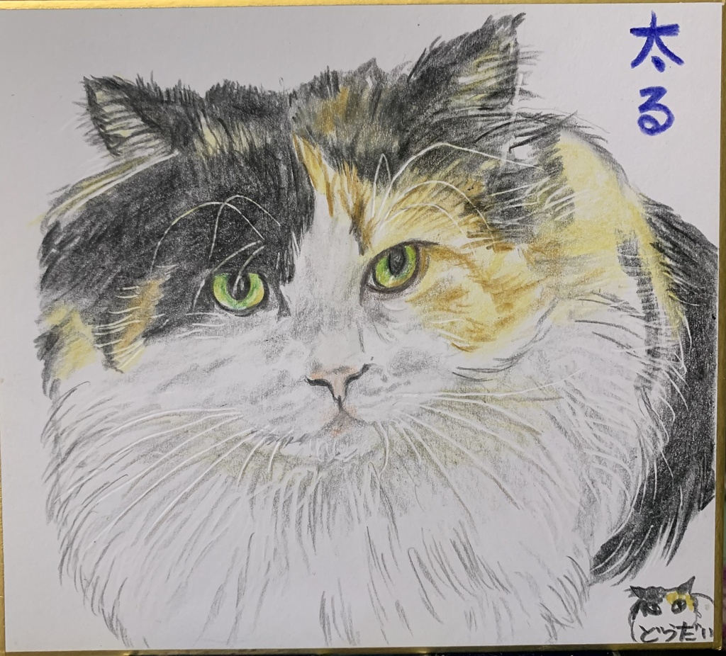 いいかたでかわるねこのえ　1215