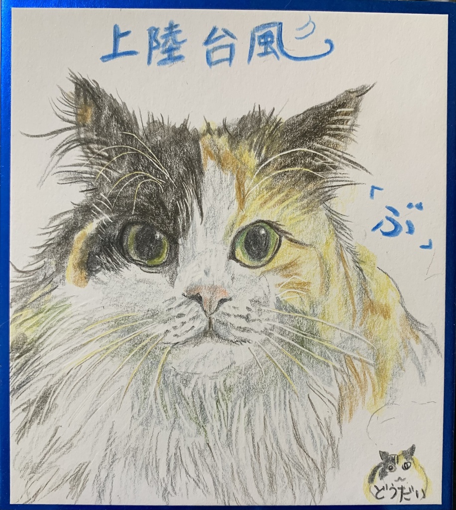 たいふういらんねこのえ　1227